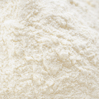 Leche en polvo para cachorros fuerteventura