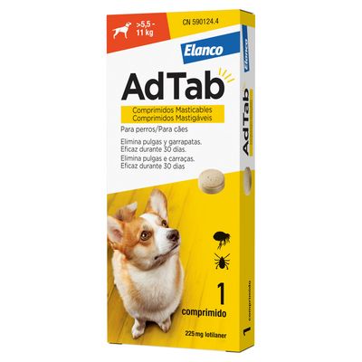 antiparasitario perro