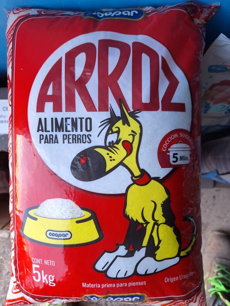 arroz para perros