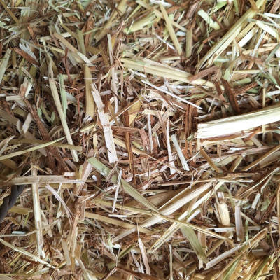 heno avena ganaderia fuerteventura