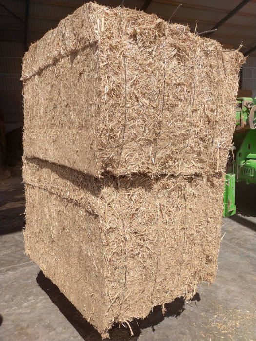 paja de arvejas ganaderia fuerteventura