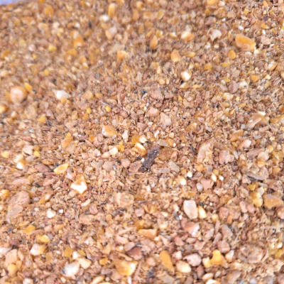 alimentos ponedoras fuerteventura
